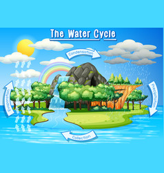 Water cycle earth Royalty Free Vector Image - VectorStock