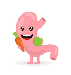 strong healthy happy stomach character flat vector image
