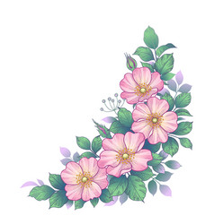 Hand drawn dog-rose bunch with flowers and leaves Vector Image