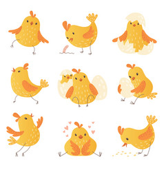 Cute little chick Royalty Free Vector Image - VectorStock