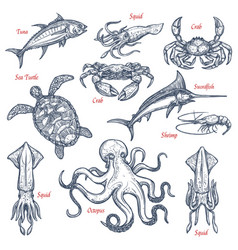 Fresh fish and seafood sketch banner set Vector Image