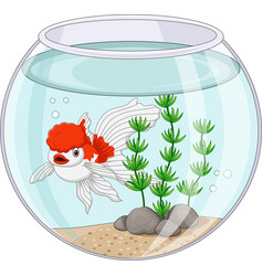 Cartoon goldfish swimming in fishbowl Royalty Free Vector