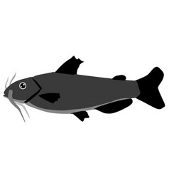 Catfish Vector Images (over 1,100)