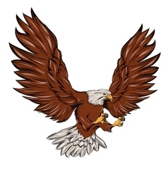 Eagle Landing Vector Images (over 940)