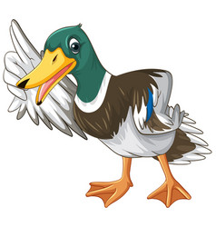 Cartoon duck floats on water Royalty Free Vector Image