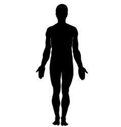 Anatomy Human Silhouette Vector Images (over 15,000)