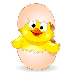 Cute chick was born 1 Royalty Free Vector Image