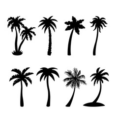 Palm contours Royalty Free Vector Image - VectorStock