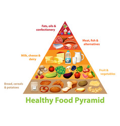 Healthy food pyramid chart Royalty Free Vector Image