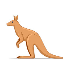 Cartoon kangaroo Royalty Free Vector Image - VectorStock