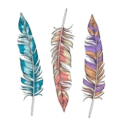 Dream catcher Royalty Free Vector Image - VectorStock