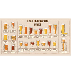 Beer types a visual guide to types of beer Vector Image