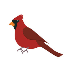 Bird Royalty Free Vector Image - VectorStock