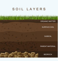 Soil layers diagram earth texture stones ground Vector Image