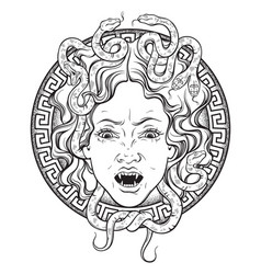 Medusa gorgon head on a shield hand drawn line art