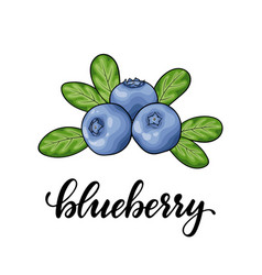 Blueberry Clipart Vector Images Over 2