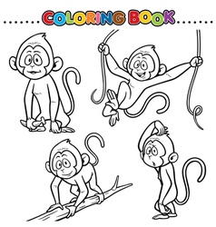 Trace lines between happy monkeys and their Vector Image