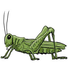 Cartoon grasshopper presenting Royalty Free Vector Image