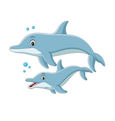 Cute dolphin couple cartoon Royalty Free Vector Image