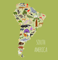 South america flora and fauna map flat elements Vector Image