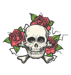 Skull from flowers Royalty Free Vector Image - VectorStock