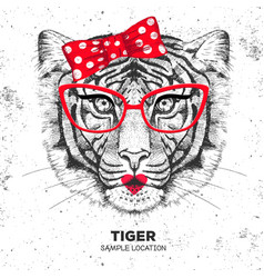 Hipster Tiger Vector Images Over 630