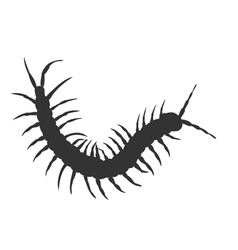 Centipede Vector Images (over 840)