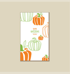 Bright vegetable card with pumpkins organic farm vector