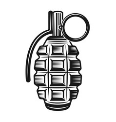 Hand grenade Royalty Free Vector Image - VectorStock