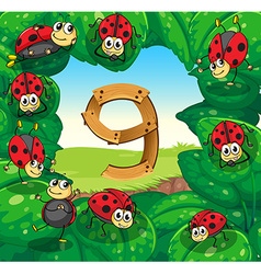 Ladybug Flashcard Vector Images (80)