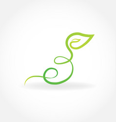 Swirly leaf Royalty Free Vector Image - VectorStock