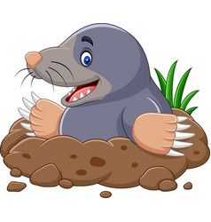 Cartoon mole come out hole Royalty Free Vector Image