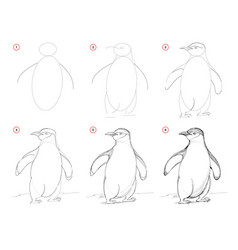 How to draw step step cute bird quetzal Royalty Free Vector