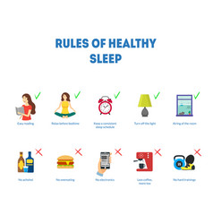 Cartoon rules of healthy sleep infographics Vector Image