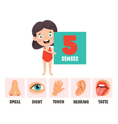 Five senses concept with human organs Royalty Free Vector