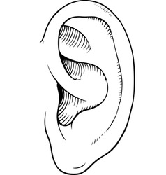 Human ear Royalty Free Vector Image - VectorStock