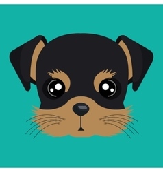 Cute dog design Royalty Free Vector Image - VectorStock