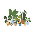 indoor plants in pots green-leaf houseplants vector image