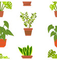 seamless pattern with house plants vector image