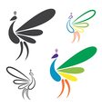 image of peacock design vector image