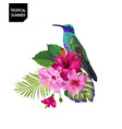 summer tropical design with hummingbird flowers vector image vector image