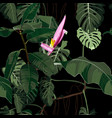tropical green monstera and palm bananas leave vector image