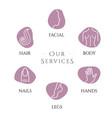 spa services vector image vector image