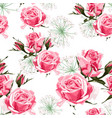 pink roses and white herbs seamless pattern vector image