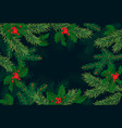 christmas tree branches background vector image