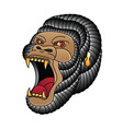 gorilla flash tattoo design vector image vector image
