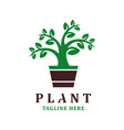plant logo design template vector image vector image