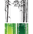 bamboo background vector image vector image