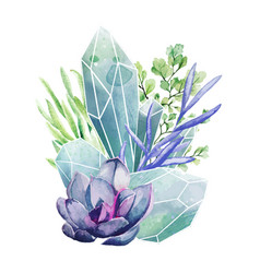 crystal gems with succulents full color art vector image