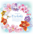 greeting card with orchids flowers vector image